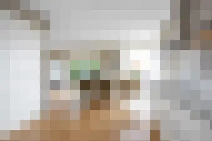 Zonstraat 2 Zuidhorn thumbnail 25