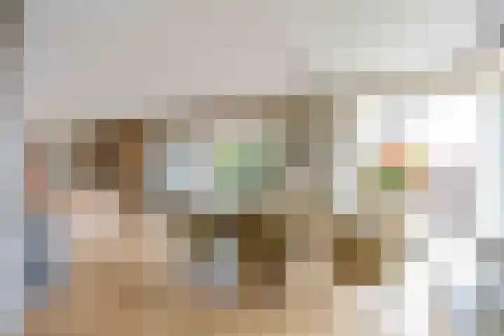 Zonstraat 2 Zuidhorn thumbnail 26