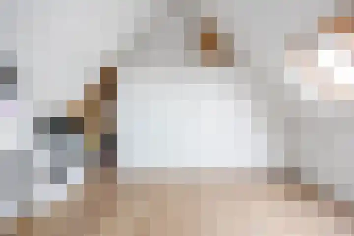Zonstraat 2 Zuidhorn thumbnail 40