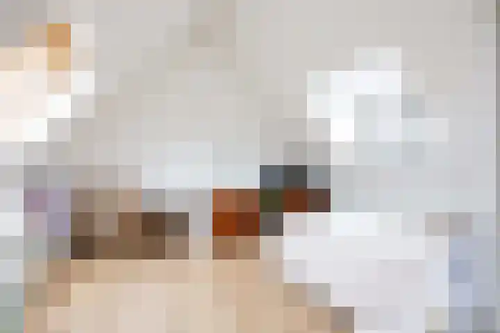 Zonstraat 2 Zuidhorn thumbnail 42
