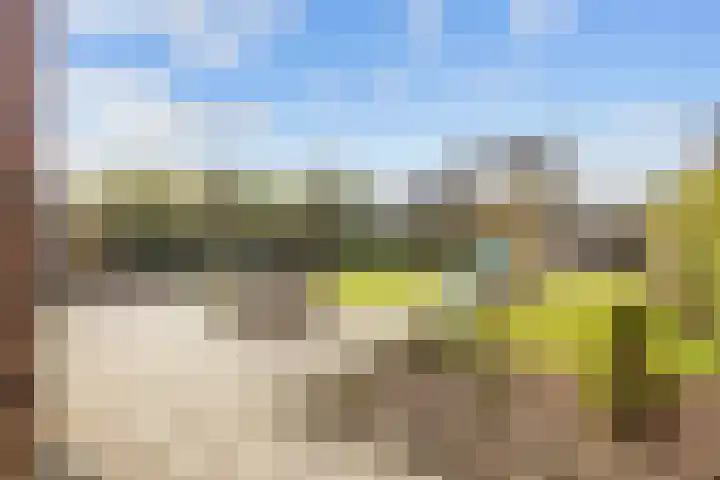 Zonstraat 2 Zuidhorn thumbnail 44