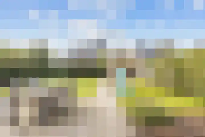 Zonstraat 2 Zuidhorn thumbnail 45