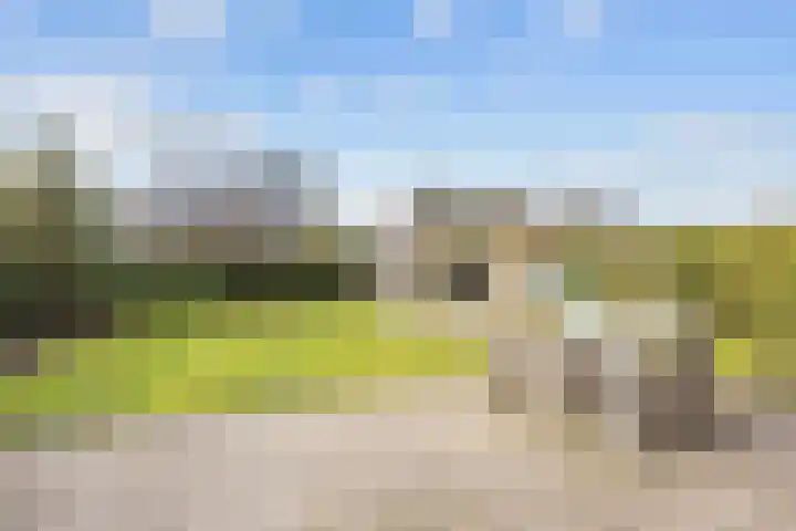 Zonstraat 2 Zuidhorn thumbnail 46