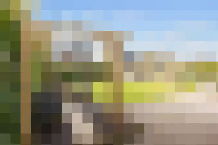 Zonstraat 2 Zuidhorn thumbnail 47
