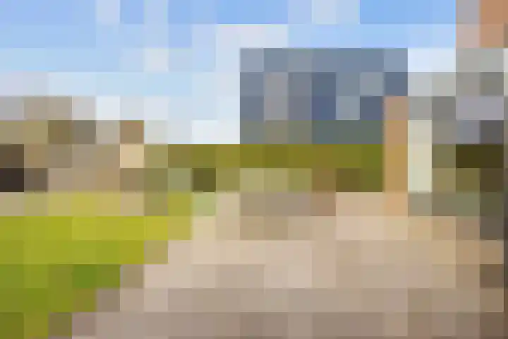 Zonstraat 2 Zuidhorn thumbnail 50