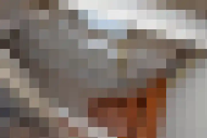 Zonstraat 20 Hengelo thumbnail 23
