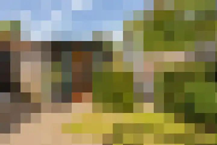 Zonstraat 21 De Meern thumbnail 10