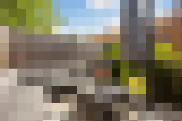 Zonstraat 21 De Meern thumbnail 11