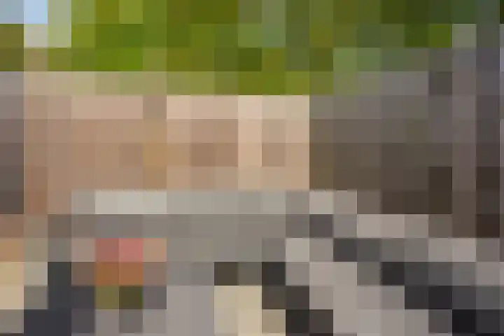 Zonstraat 21 De Meern thumbnail 12