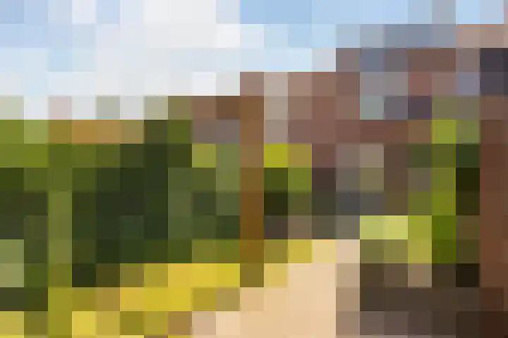 Zonstraat 21 De Meern thumbnail 13