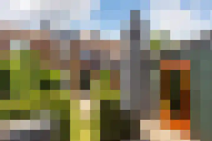 Zonstraat 21 De Meern thumbnail 14