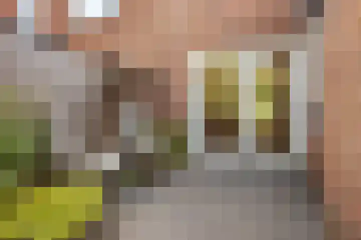 Zonstraat 21 De Meern thumbnail 15