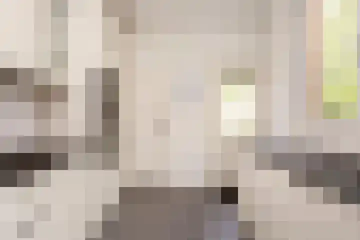Zonstraat 21 De Meern thumbnail 16