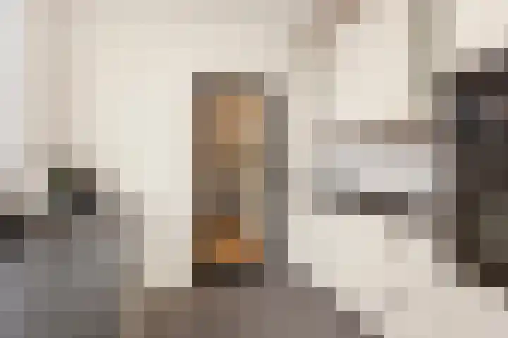 Zonstraat 21 De Meern thumbnail 17