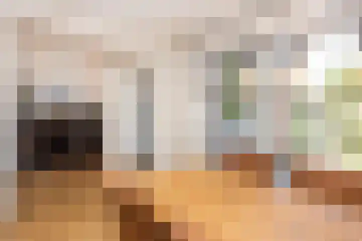 Zonstraat 21 De Meern thumbnail 20