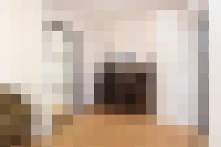 Zonstraat 21 De Meern thumbnail 21