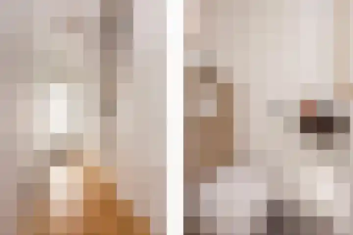 Zonstraat 21 De Meern thumbnail 22