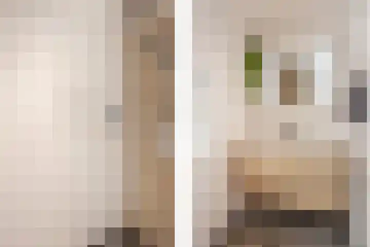 Zonstraat 21 De Meern thumbnail 25