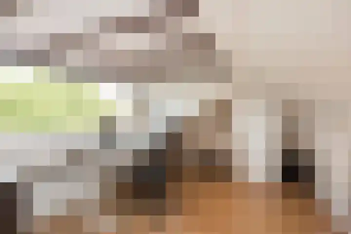 Zonstraat 21 De Meern thumbnail 32