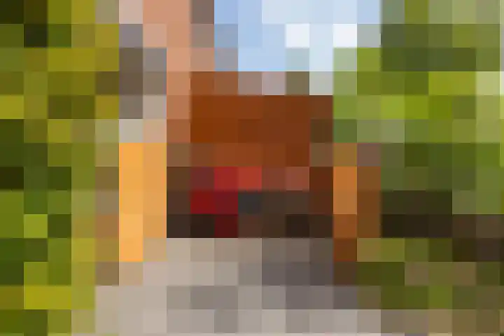 Zonstraat 21 De Meern thumbnail 35