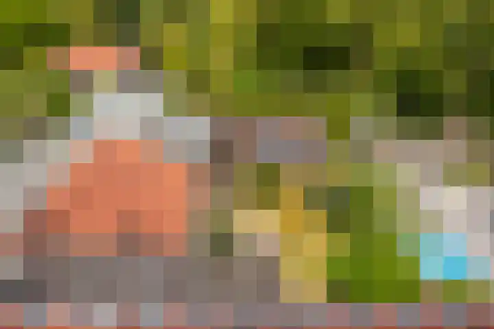 Zonstraat 21 De Meern thumbnail 37