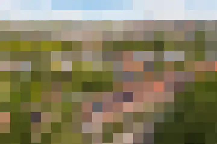 Zonstraat 21 De Meern thumbnail 38