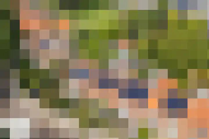 Zonstraat 21 De Meern thumbnail 39