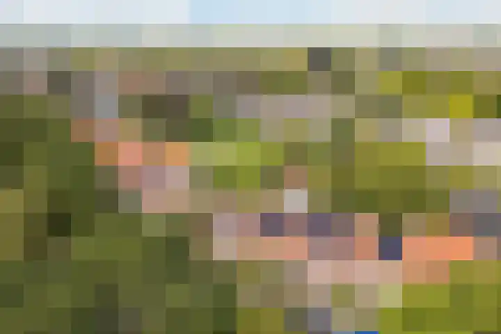Zonstraat 21 De Meern thumbnail 4