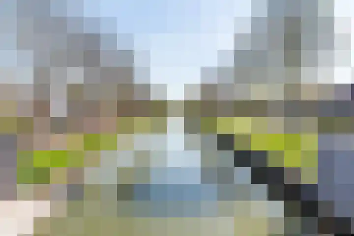 Zonstraat 21 De Meern thumbnail 40
