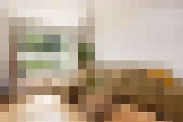 Zonstraat 21 De Meern thumbnail 6