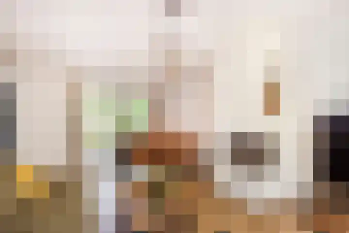 Zonstraat 21 De Meern thumbnail 7