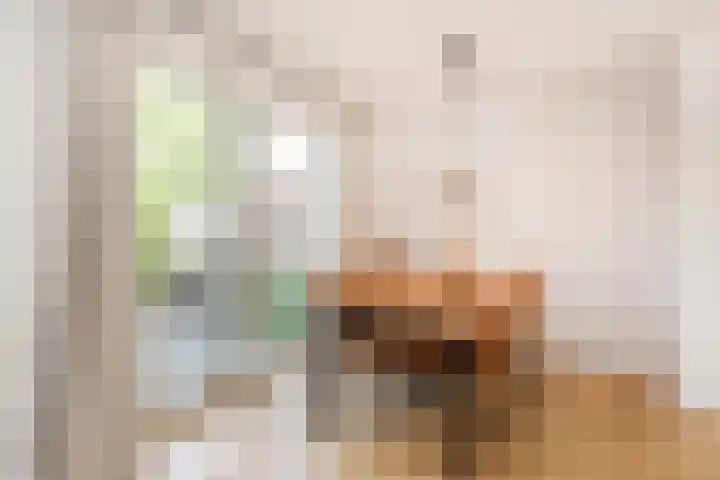 Zonstraat 21 De Meern thumbnail 8