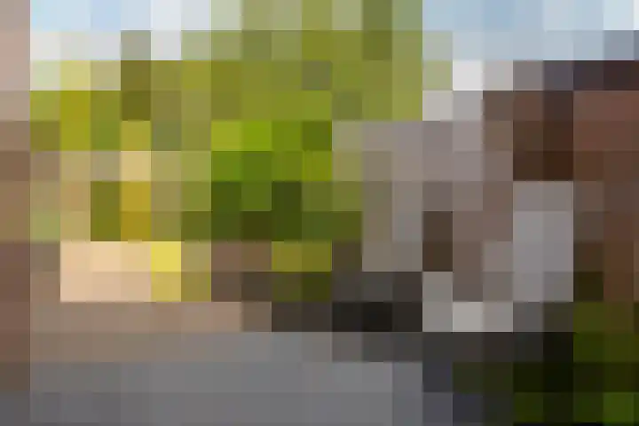 Zonstraat 21 De Meern thumbnail 9