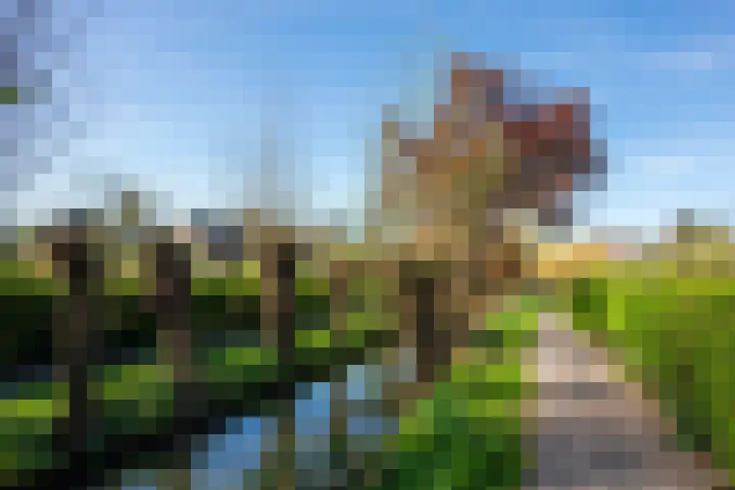 Zonstraat 21 E Utrecht thumbnail 22
