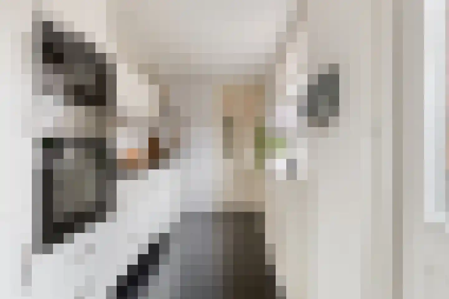 Zonstraat 24 Hengelo thumbnail 15