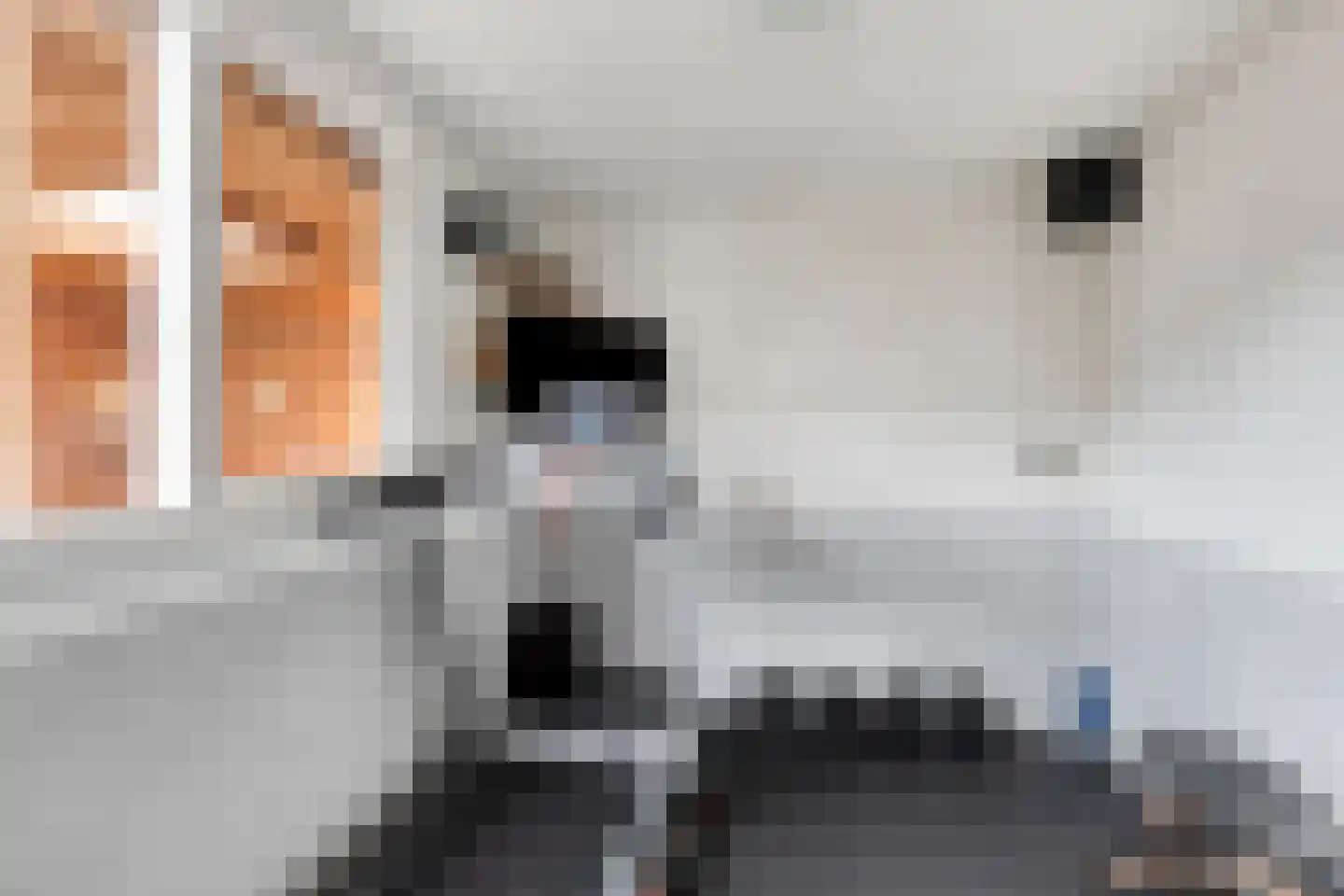 Zonstraat 24 Hengelo thumbnail 21