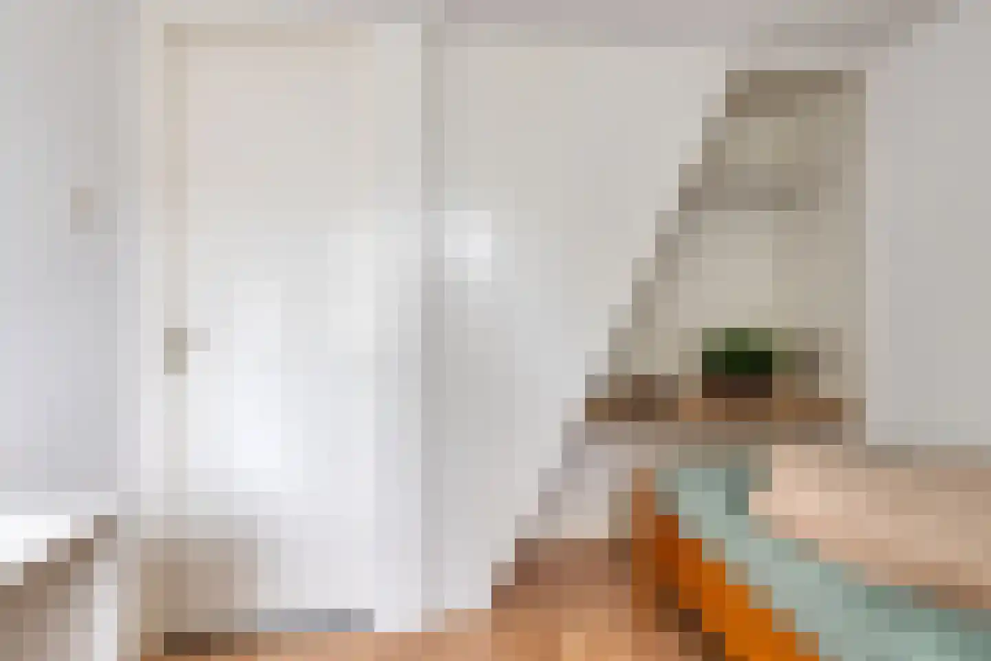 Zonstraat 24 Hengelo thumbnail 26