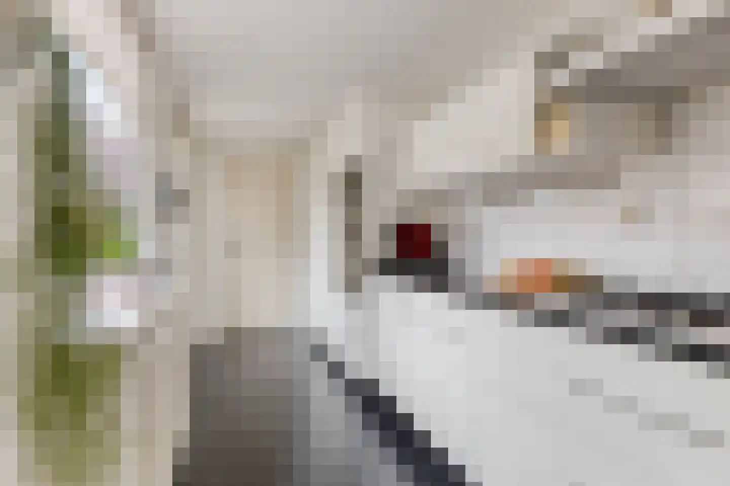 Zonstraat 24 Hengelo thumbnail 4