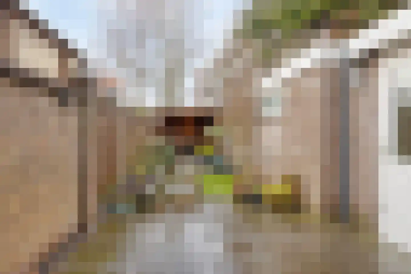 Zonstraat 24 Hengelo thumbnail 5