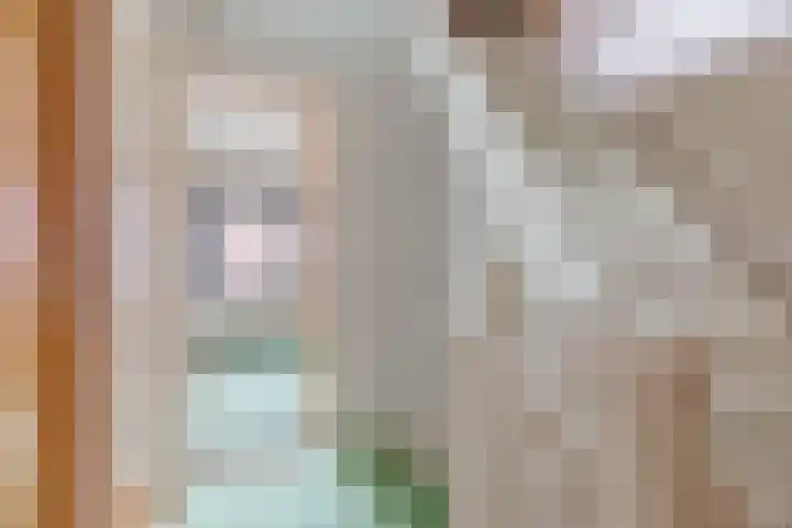 Zonstraat 27 De Meern thumbnail 14