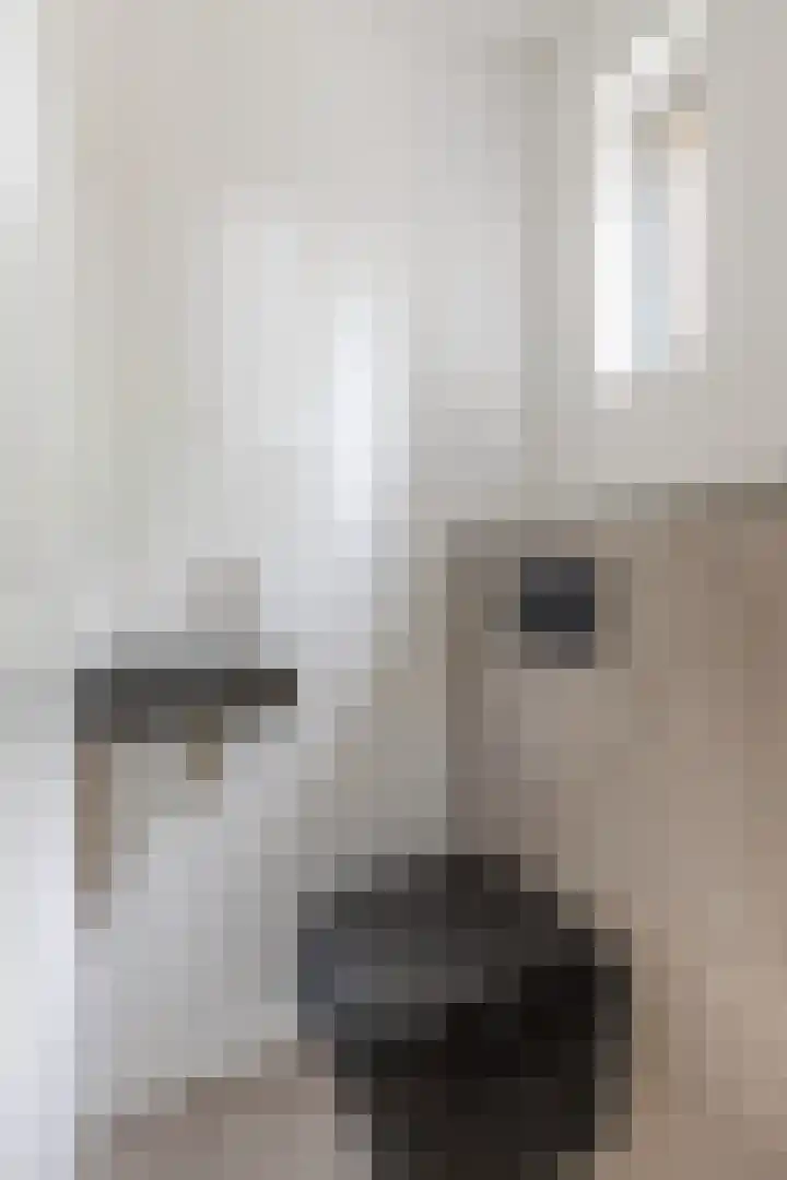 Zonstraat 27 De Meern thumbnail 34