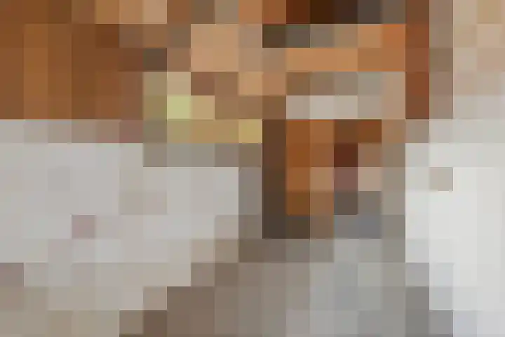 Zonstraat 27 De Meern thumbnail 38