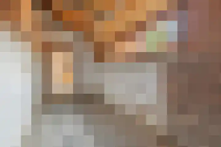 Zonstraat 27 De Meern thumbnail 40