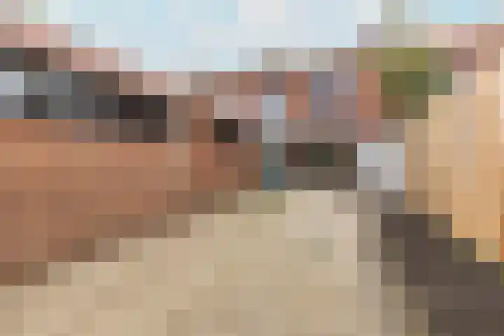 Zonstraat 27 De Meern thumbnail 44