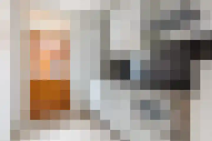 Zonstraat 27 De Meern thumbnail 8