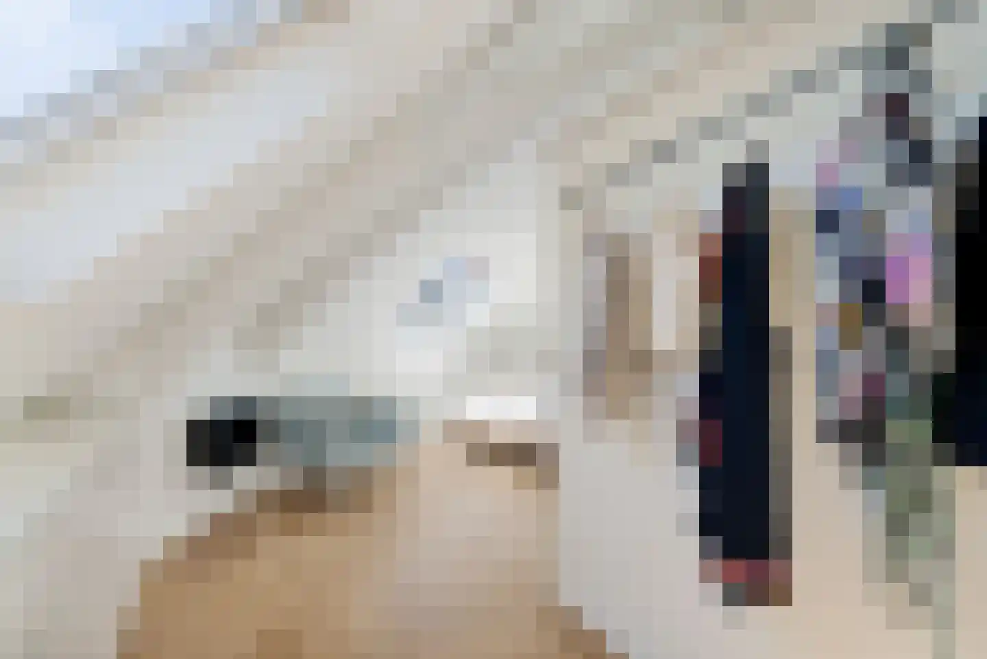 Zonstraat 28 BS Utrecht thumbnail 36