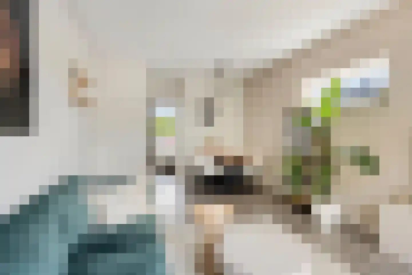 Zonstraat 3 Nijmegen thumbnail 13