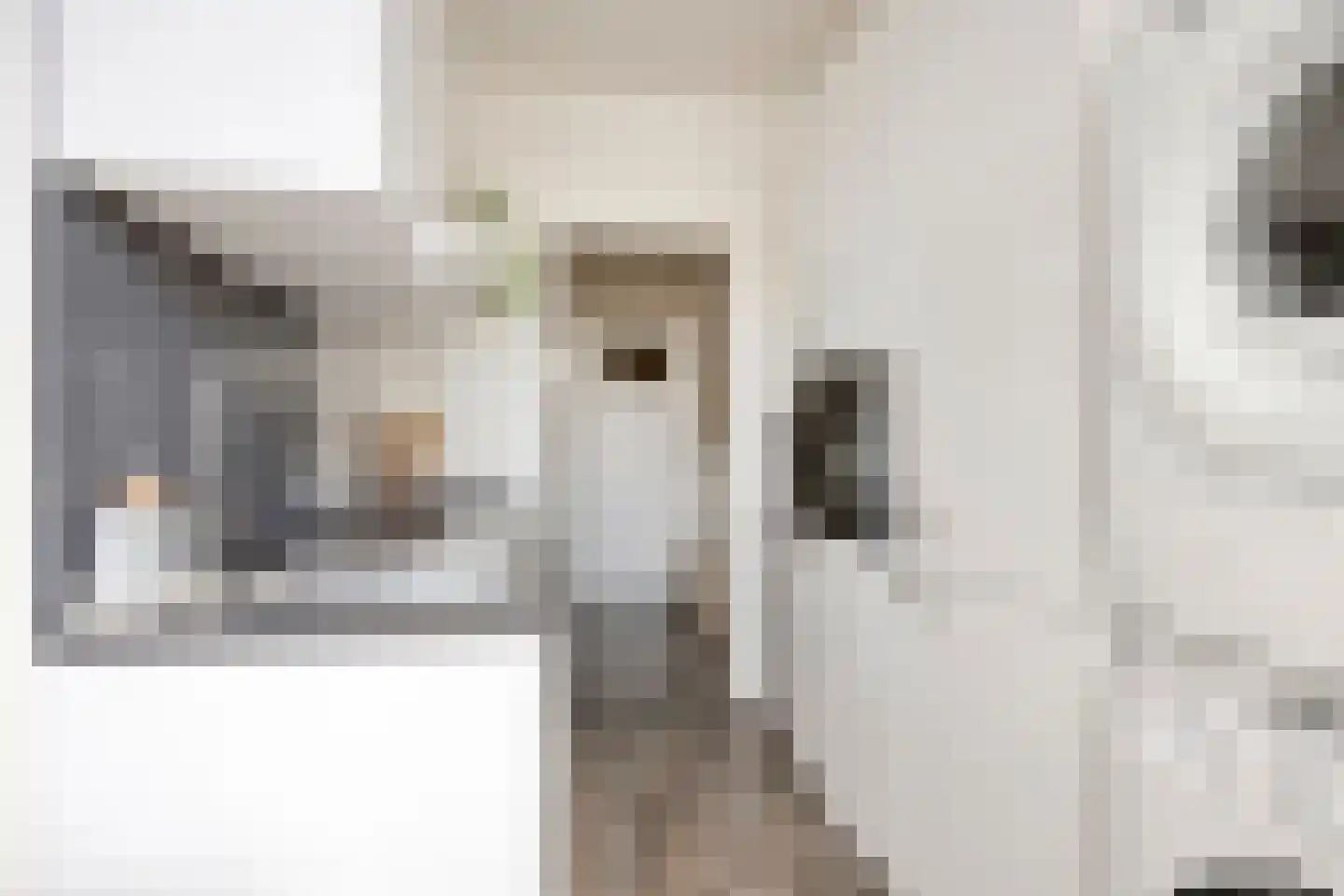 Zonstraat 3 Nijmegen thumbnail 20