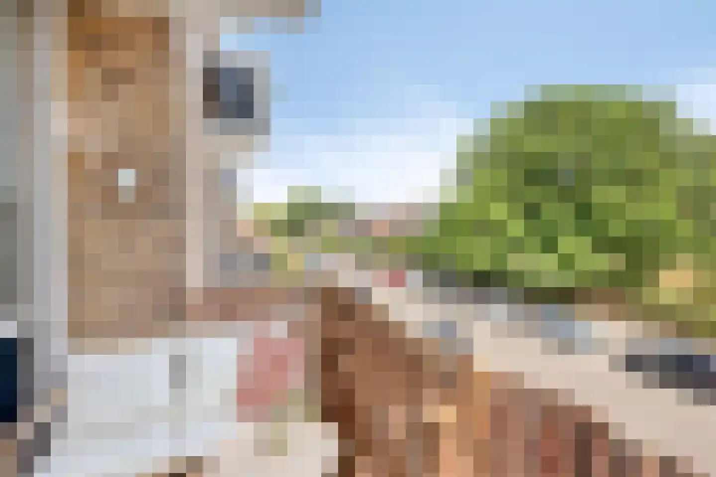 Zonstraat 3 Nijmegen thumbnail 22