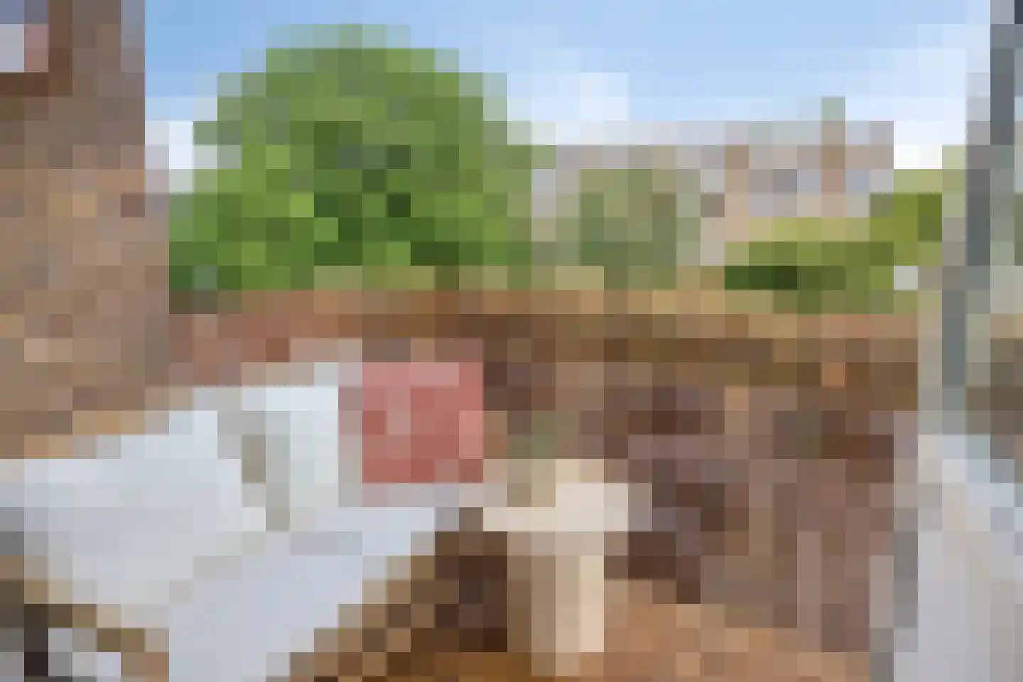 Zonstraat 3 Nijmegen thumbnail 5